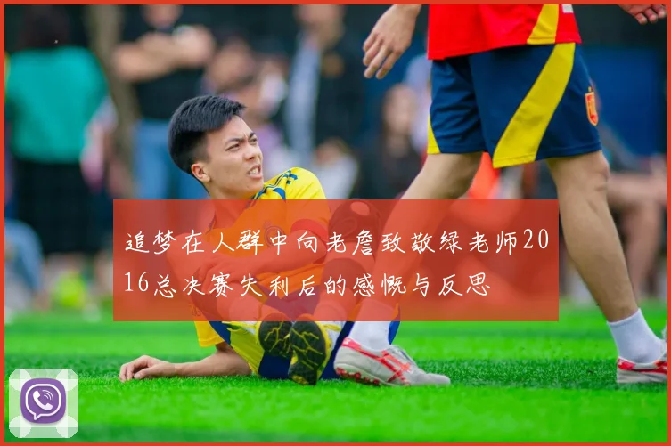 追梦在人群中向老詹致敬绿老师2016总决赛失利后的感慨与反思