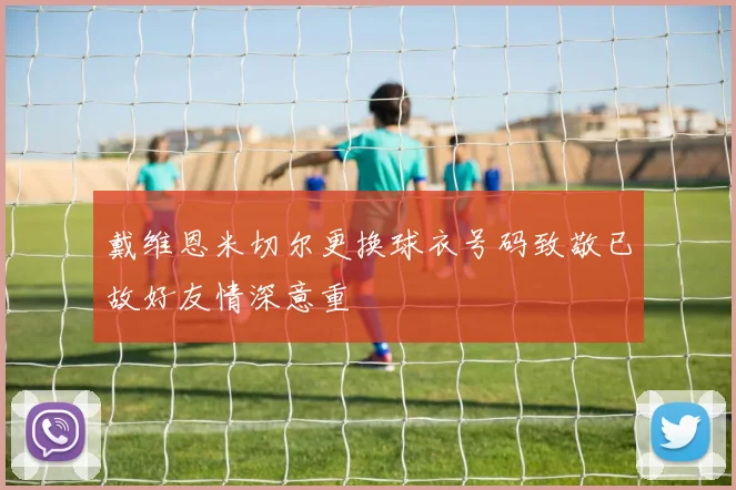戴维恩米切尔更换球衣号码致敬已故好友情深意重