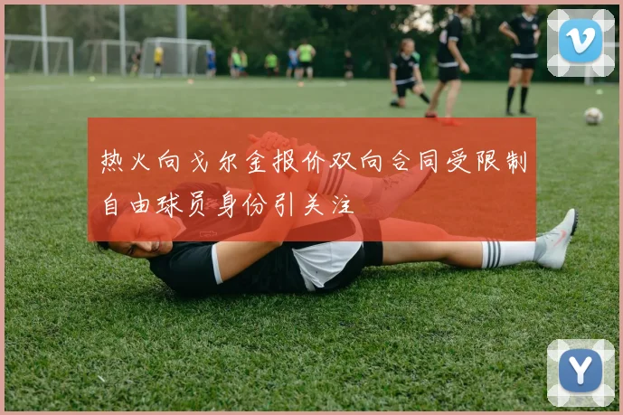 热火向戈尔金报价双向合同受限制自由球员身份引关注